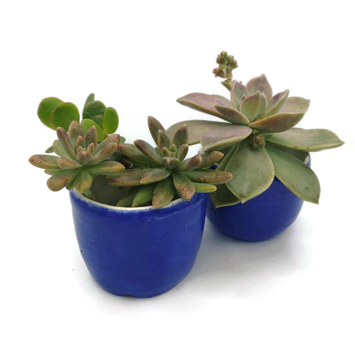 SMALL SUCCULENT POT, Ceramic Planter, Royal Blue Ceramic Cute Vase, House Warming Gifts, Mom Birthday Gift From Daughter - Ceramica Ana Rafael