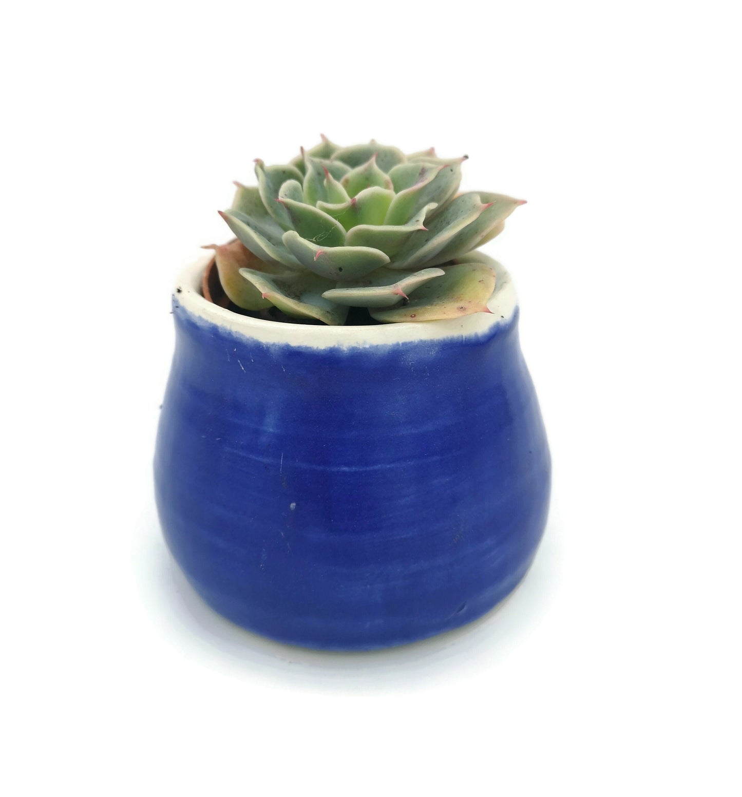 SUCCULENT POT, HANDMADE Ceramics Office Desk Accessories Gift For Men, Plant Lovers Dad Birthday Gift, Cactus Planter, 9th Aniversary Gift - Ceramica Ana Rafael