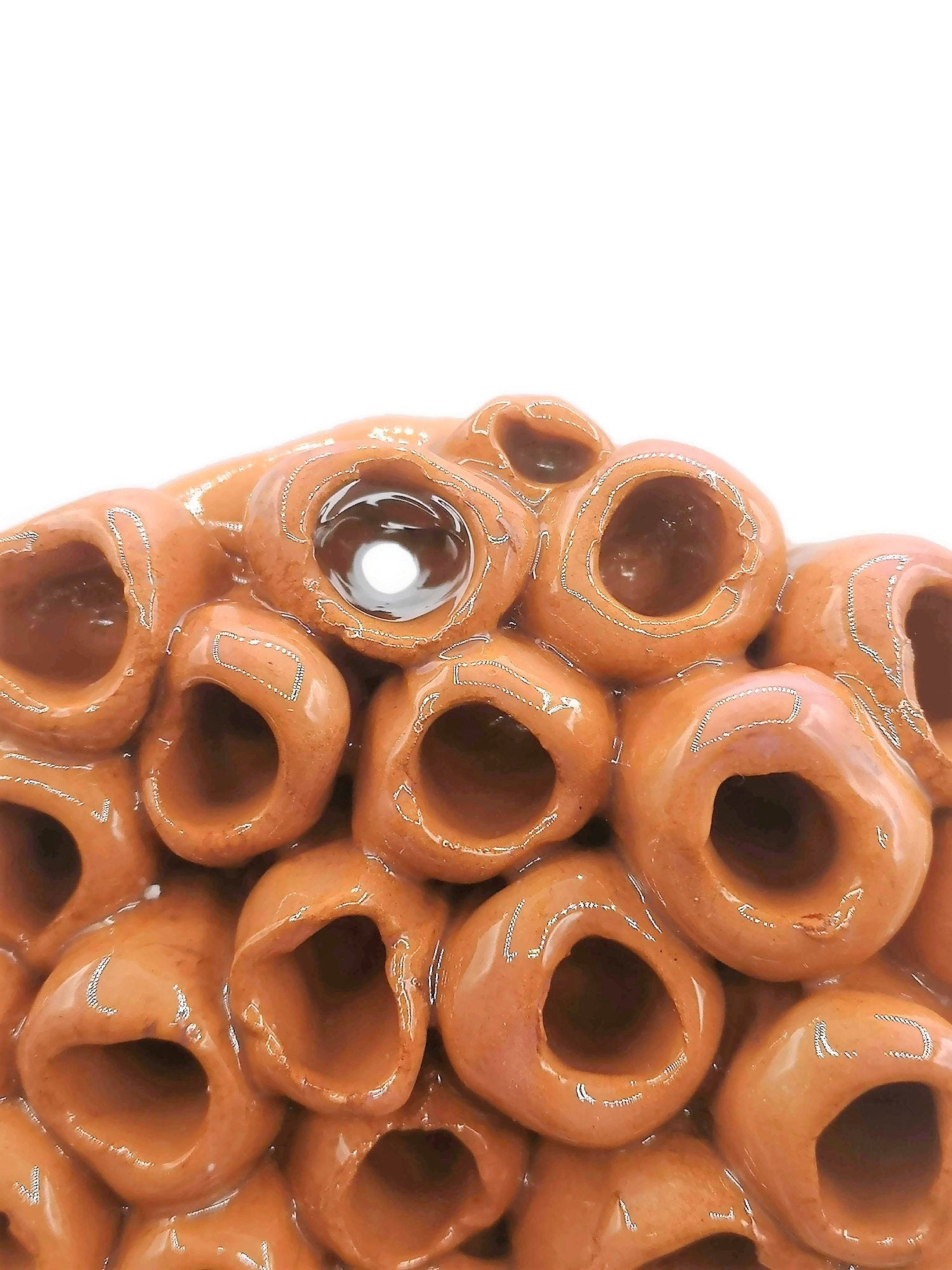 Handmade Ceramic Coral Wall Hanging, Unique Terracotta Artisan Pottery Wall Decor Beach Themed, Unique Ocean Wall Art For Home Decor - Ceramica Ana Rafael