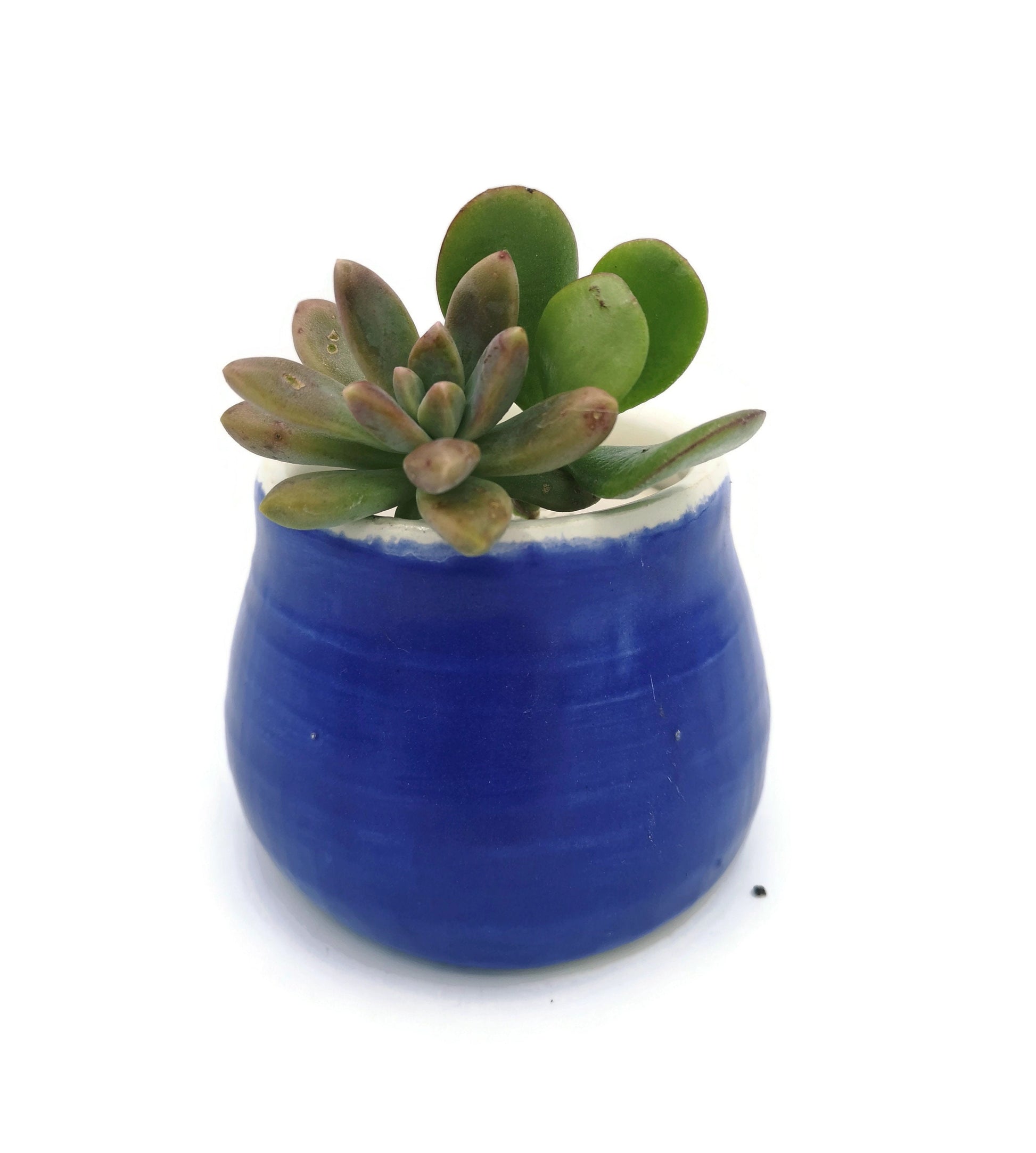 SUCCULENT POT, HANDMADE Ceramics Office Desk Accessories Gift For Men, Plant Lovers Dad Birthday Gift, Cactus Planter, 9th Aniversary Gift - Ceramica Ana Rafael