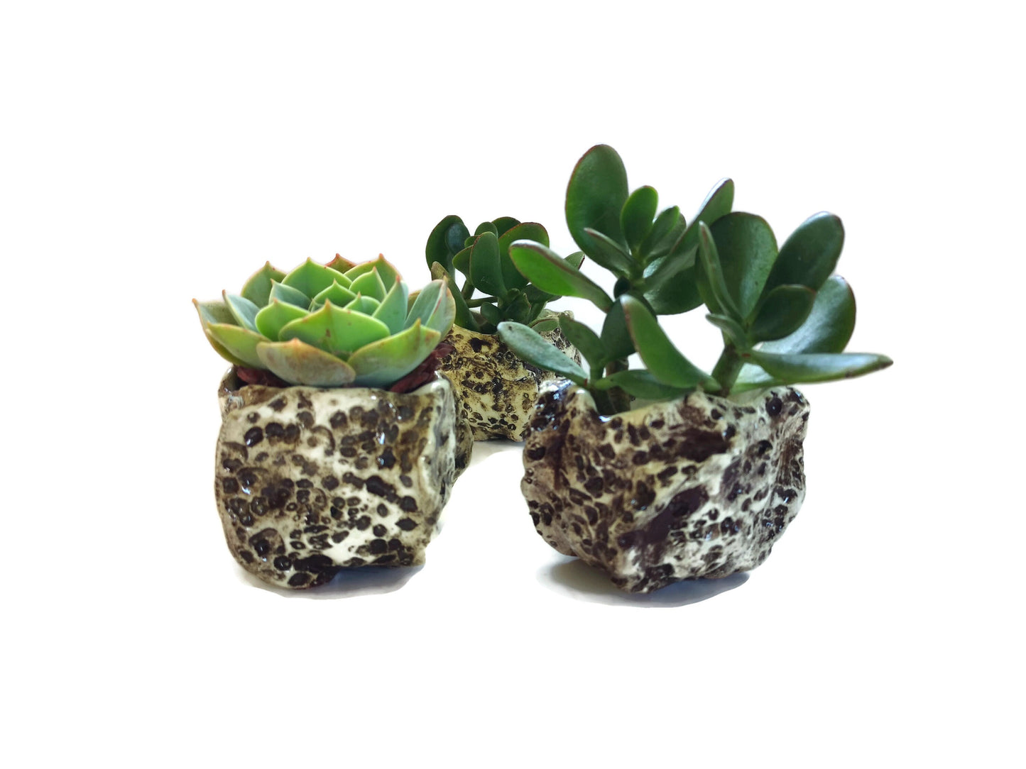 SMALL SUCCULENT POT, Ceramic Cute Vase, Modern Sculptural Textured Cactus Planter For Farmhouse Decor Neutral Small Gifts - Ceramica Ana Rafael
