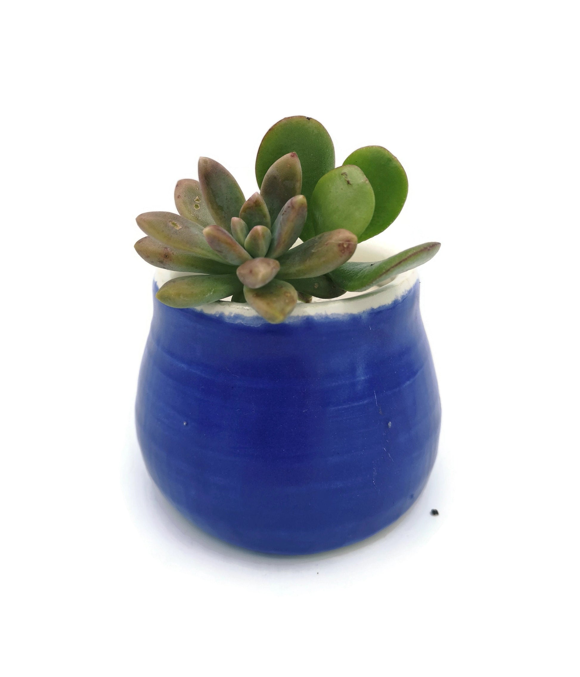 SUCCULENT POT, HANDMADE Ceramics Office Desk Accessories Gift For Men, Plant Lovers Dad Birthday Gift, Cactus Planter, 9th Aniversary Gift - Ceramica Ana Rafael