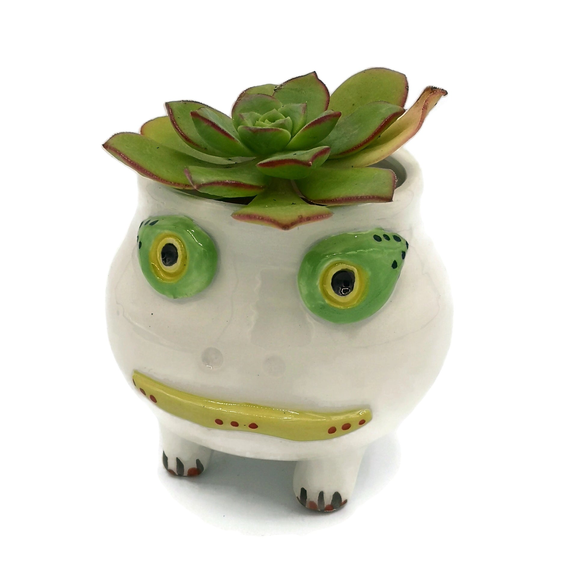FACE PLANTER POT, Cute Planter, Modern Unique Hanging Head Planter, Indoor Ceramic Vase Planter House Warming Gifts, Funny Plant Holder - Ceramica Ana Rafael