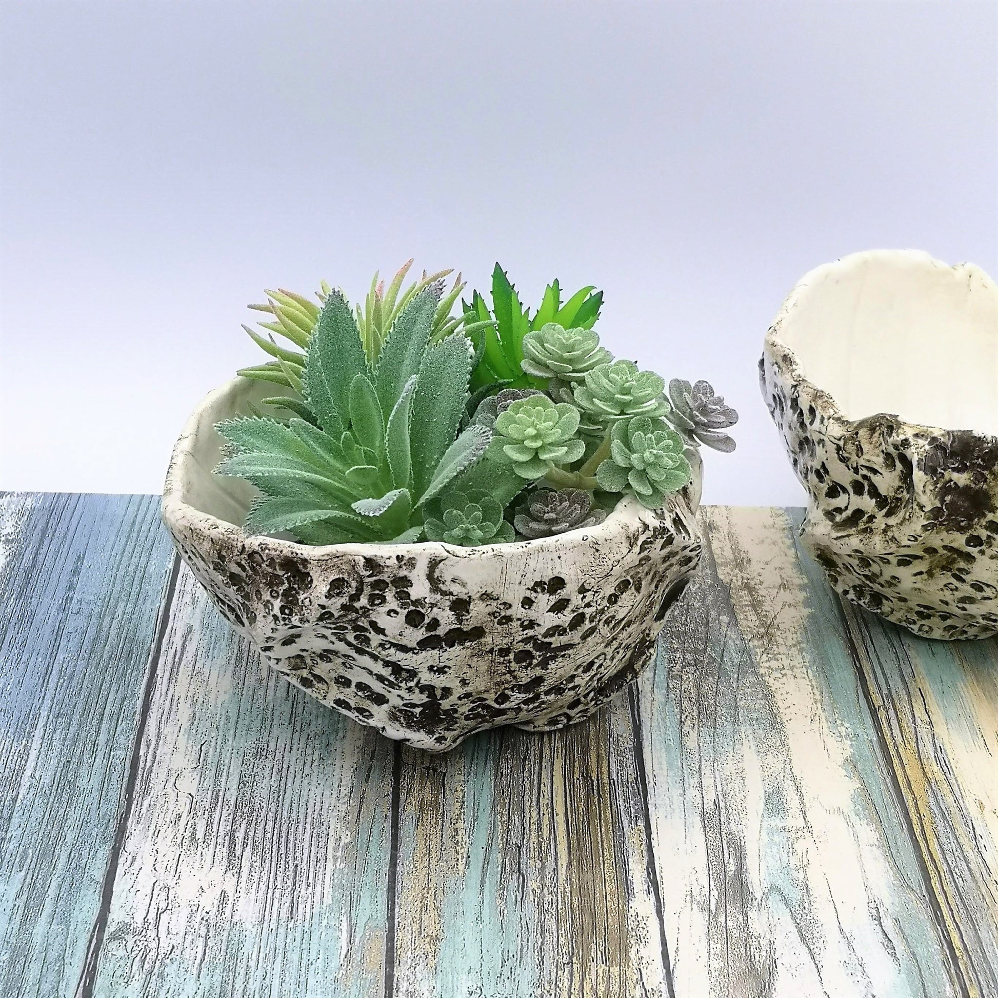 Handmade Ceramic Bowl With Organic Shape, Textured Succulent Planter Without Holes For Home Decor, Gift Idea for Women Who Have Everything - Ceramica Ana Rafael