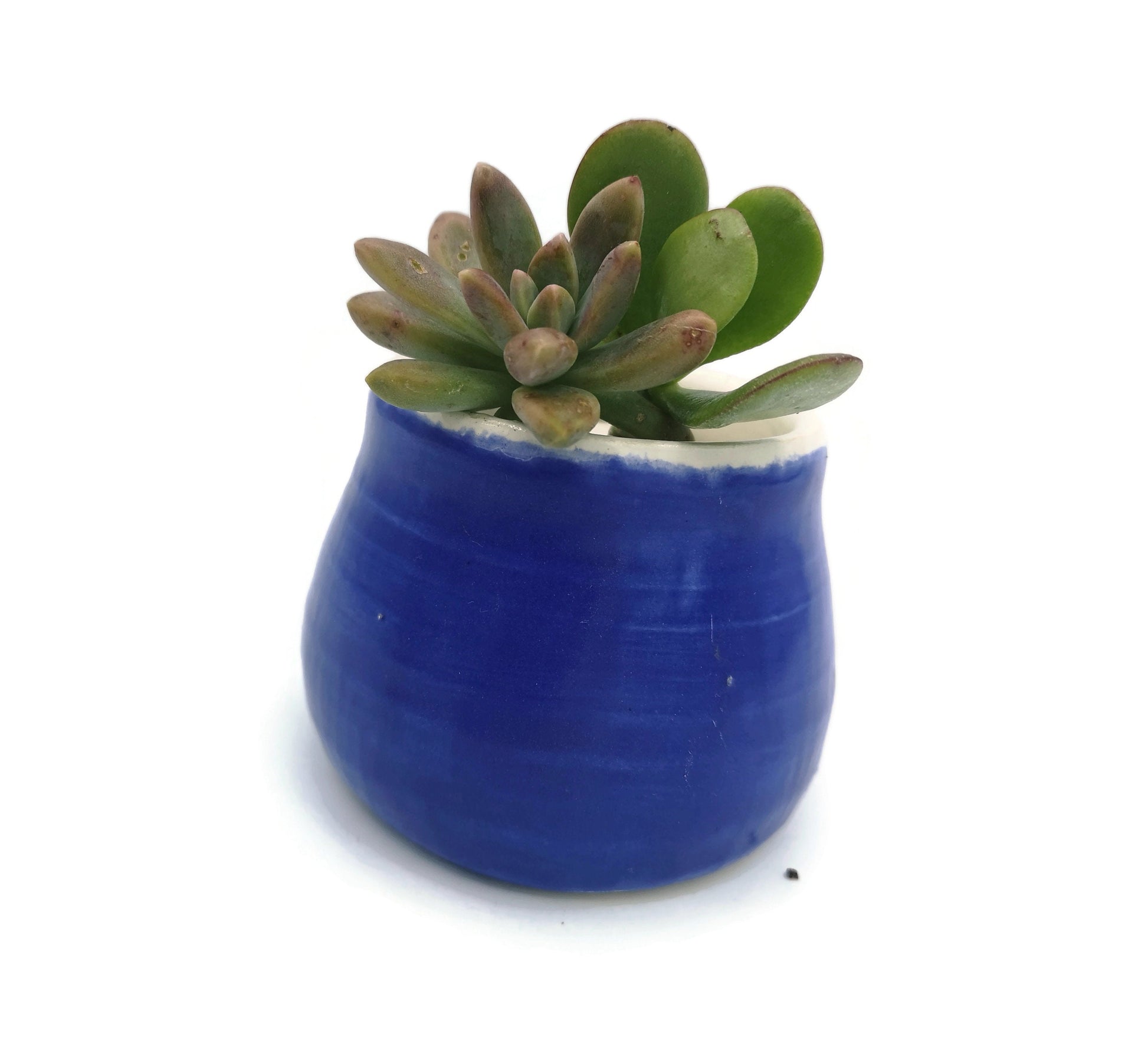 SUCCULENT POT, HANDMADE Ceramics Office Desk Accessories Gift For Men, Plant Lovers Dad Birthday Gift, Cactus Planter, 9th Aniversary Gift - Ceramica Ana Rafael