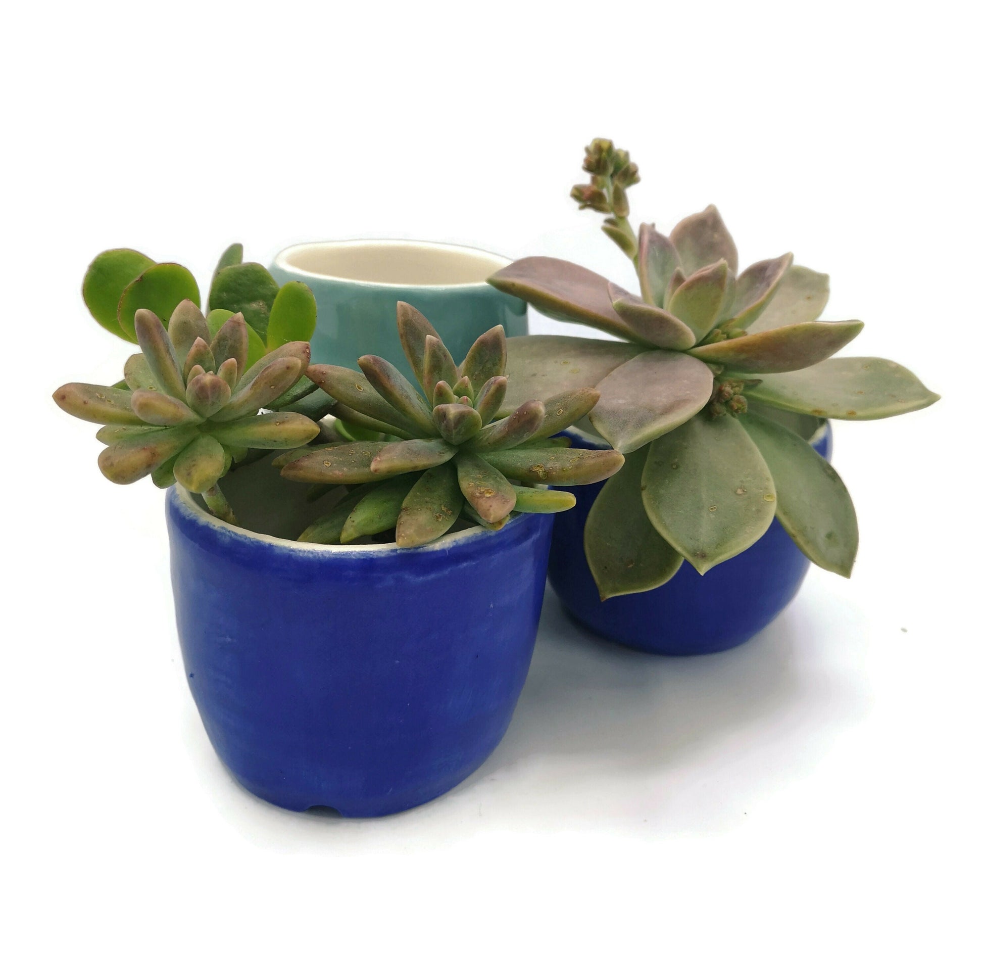 SMALL SUCCULENT POT, Ceramic Planter, Royal Blue Ceramic Cute Vase, House Warming Gifts, Mom Birthday Gift From Daughter - Ceramica Ana Rafael