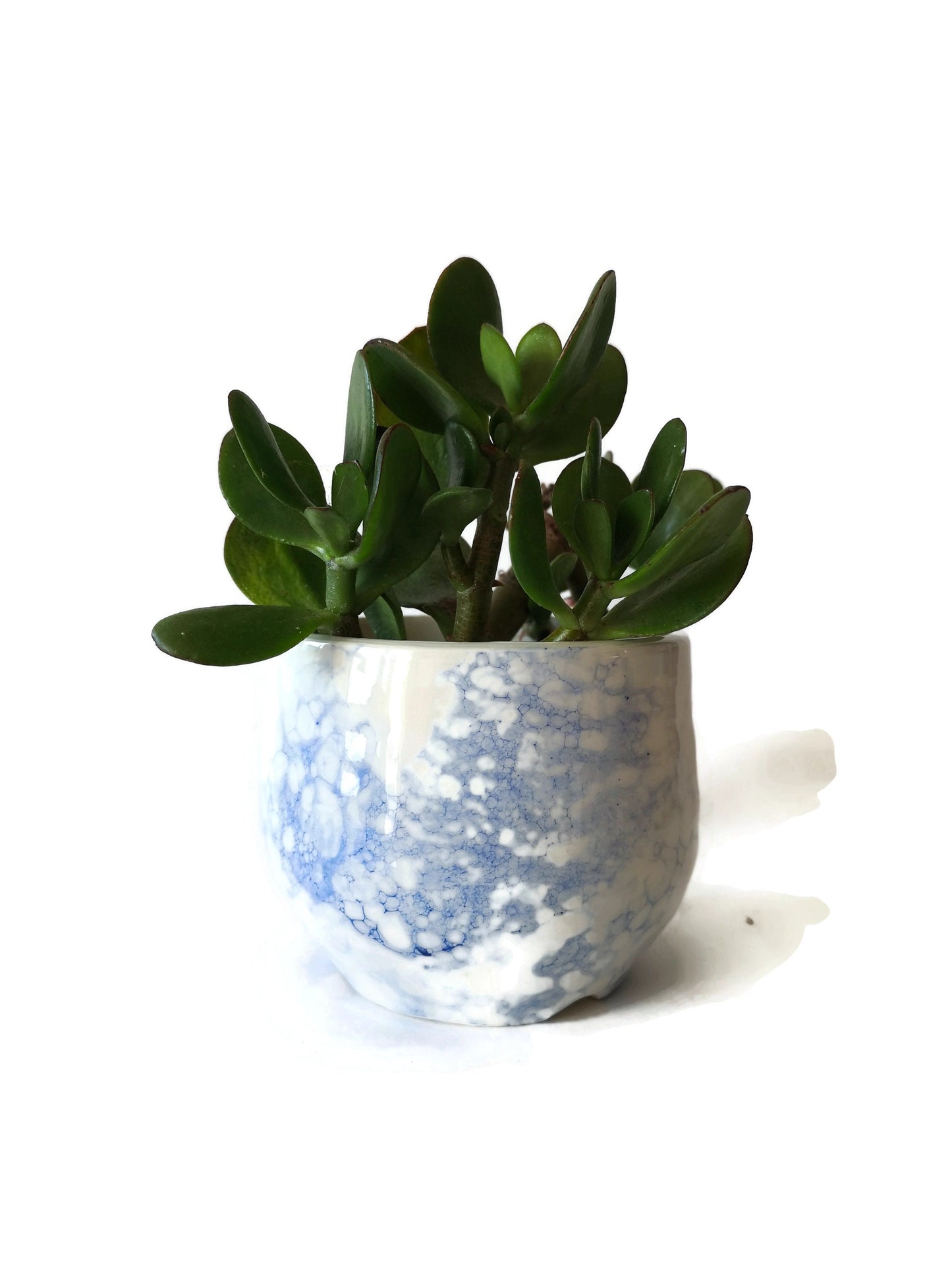 FLOWER VASE, MODERN Ceramic Vase For Flowers, Pottery Handmade Cactus Planter Cache Pot - Ceramica Ana Rafael