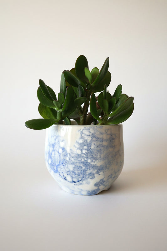 FLOWER VASE, MODERN Ceramic Vase For Flowers, Pottery Handmade Cactus Planter Cache Pot - Ceramica Ana Rafael