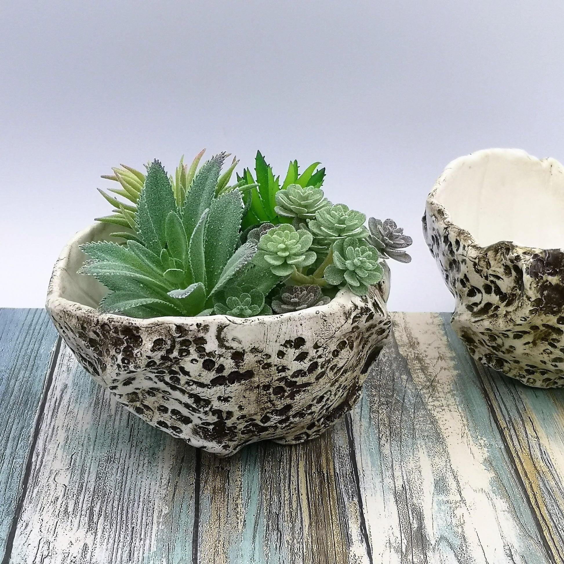 Handmade Ceramic Bowl With Organic Shape, Textured Succulent Planter Without Holes For Home Decor, Gift Idea for Women Who Have Everything - Ceramica Ana Rafael