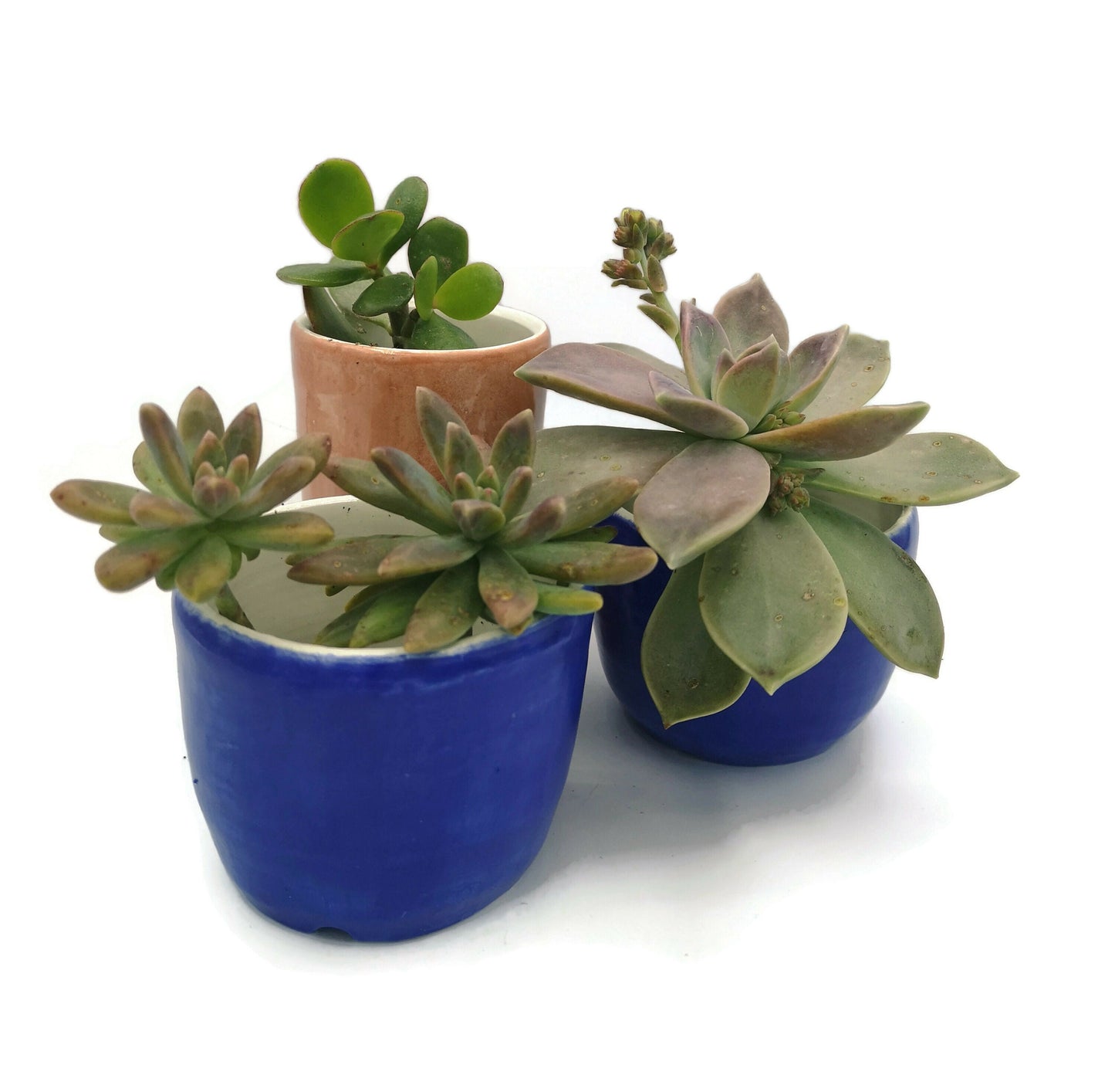 SMALL SUCCULENT POT, Ceramic Planter, Royal Blue Ceramic Cute Vase, House Warming Gifts, Mom Birthday Gift From Daughter - Ceramica Ana Rafael