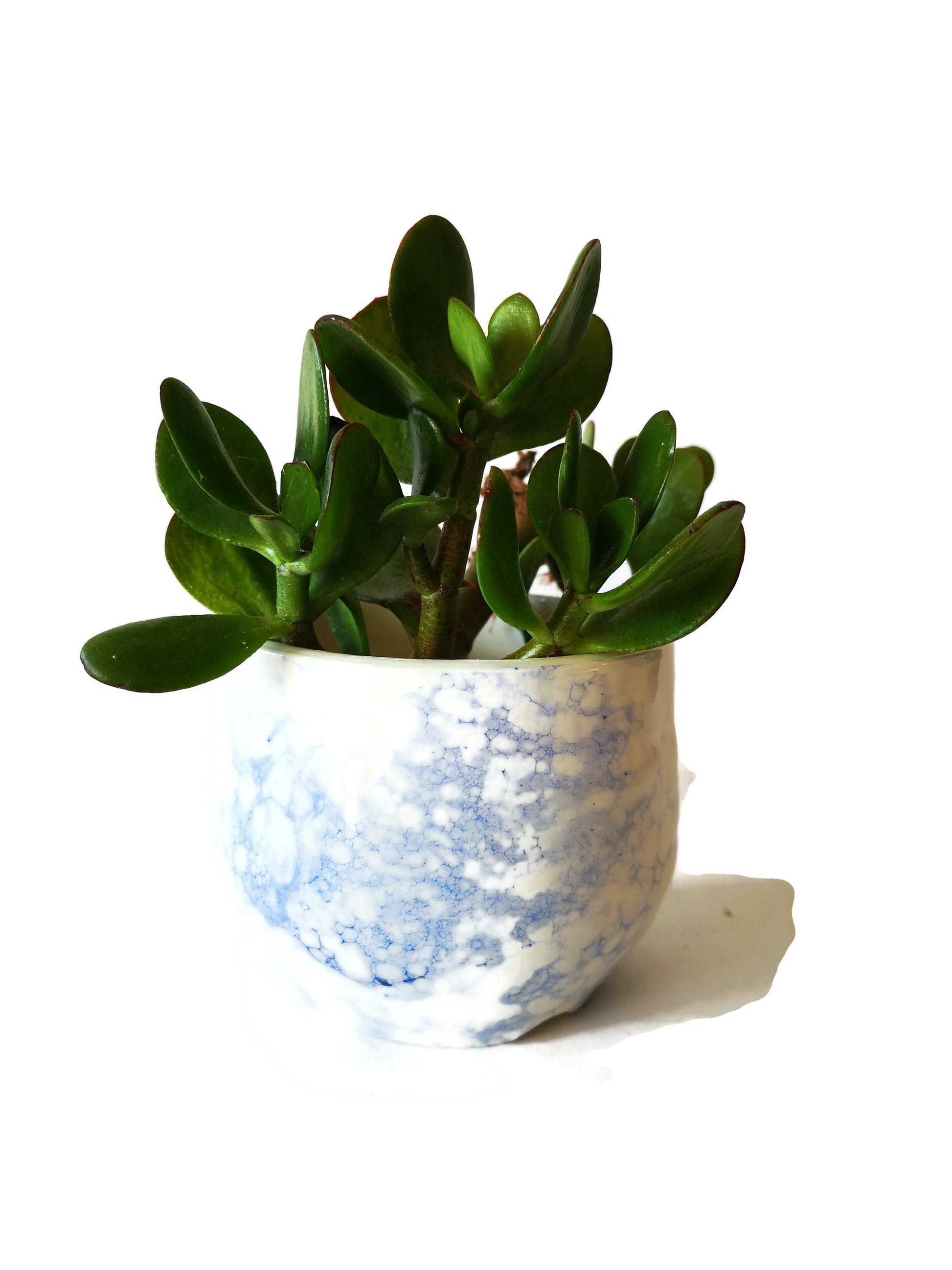 FLOWER VASE, MODERN Ceramic Vase For Flowers, Pottery Handmade Cactus Planter Cache Pot - Ceramica Ana Rafael