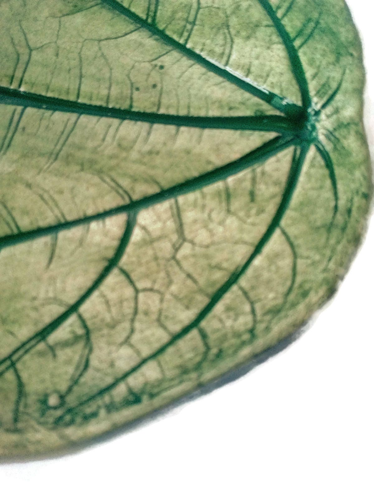 Handmade Ceramic Green Pressed Leaf Plate, Wedding Ring Holder Dish, Plant Mom Gift For Her, Soap Dish For Women - Ceramica Ana Rafael