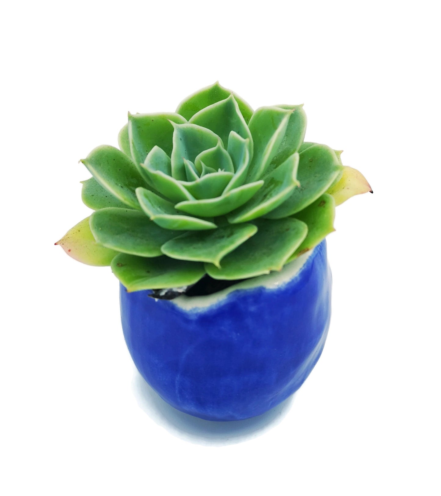 BLUE CERAMIC PLANTER, Clay Planter, Cactus Pot, Mothers Day Gift, Office Desk Accessories For Men, Housewarming Gift First Home - Ceramica Ana Rafael