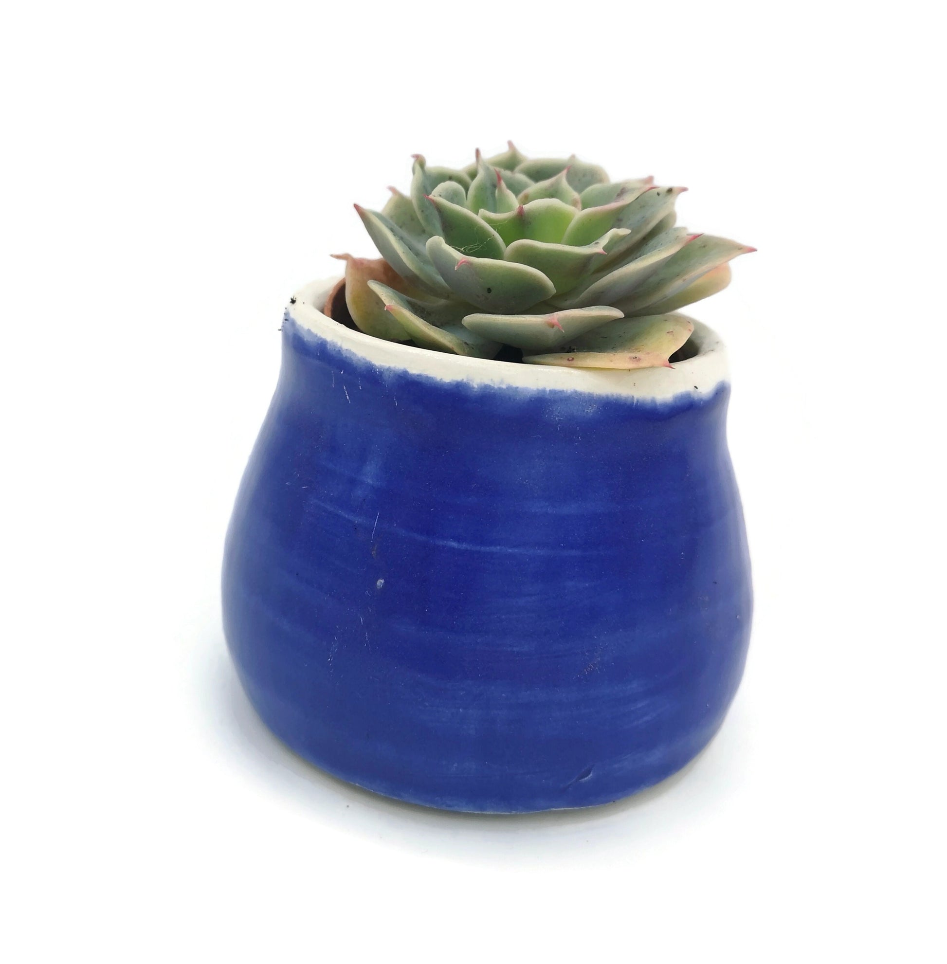 SUCCULENT POT, HANDMADE Ceramics Office Desk Accessories Gift For Men, Plant Lovers Dad Birthday Gift, Cactus Planter, 9th Aniversary Gift - Ceramica Ana Rafael