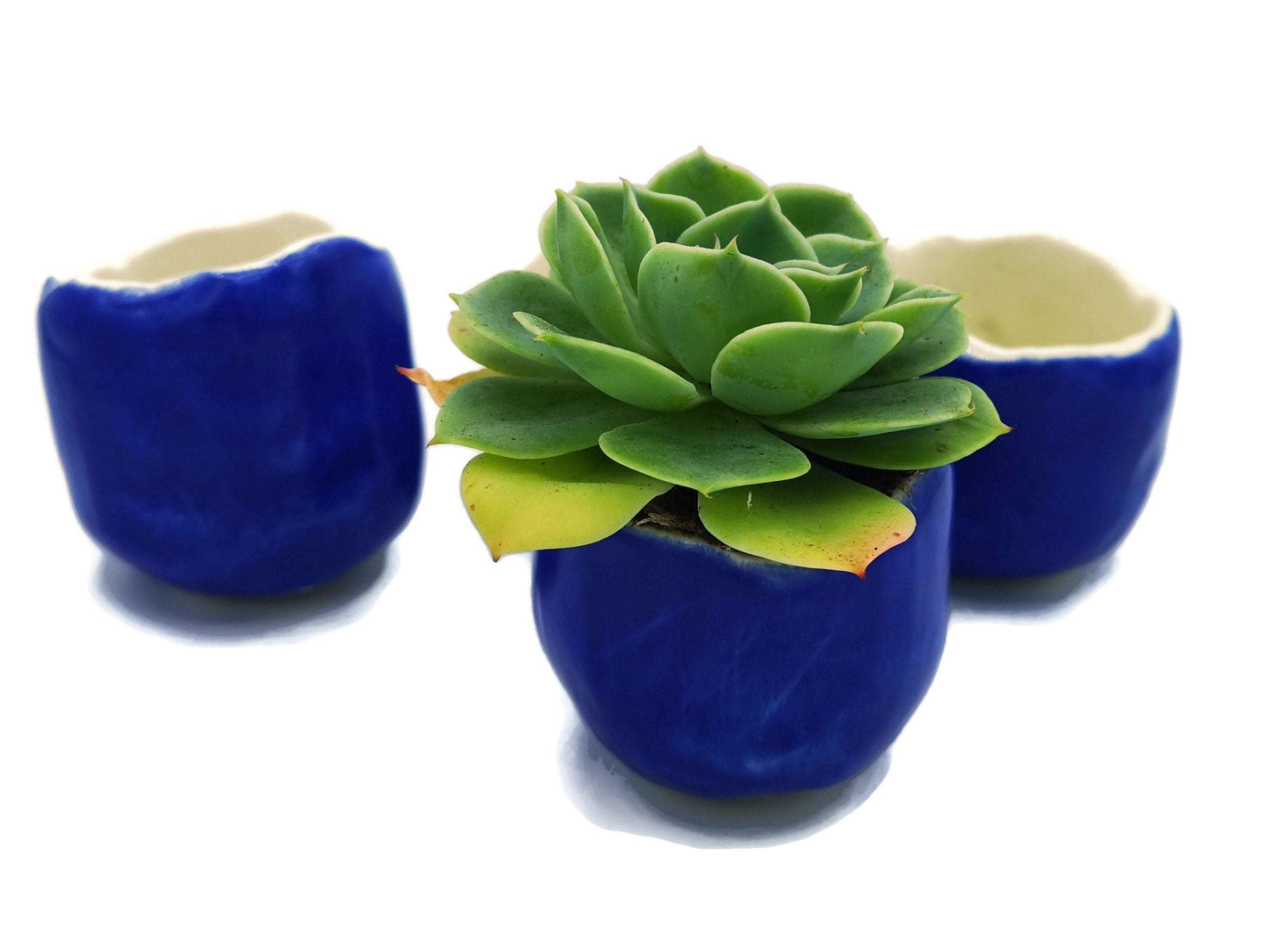 BLUE CERAMIC PLANTER, Clay Planter, Cactus Pot, Mothers Day Gift, Office Desk Accessories For Men, Housewarming Gift First Home - Ceramica Ana Rafael