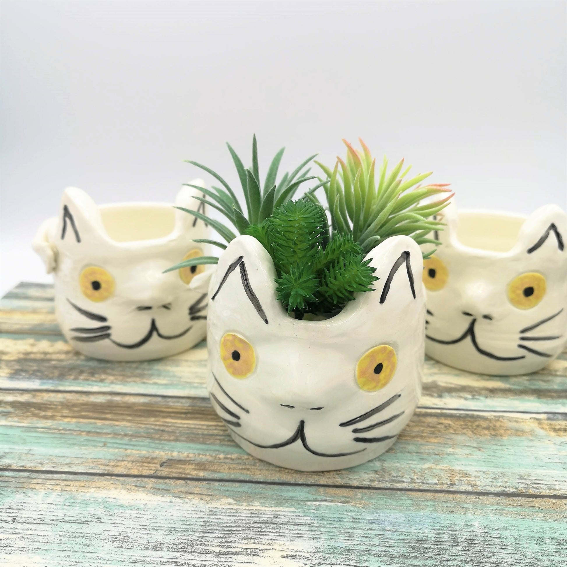 CAT PLANTER POT, Cat Succulent Planter, Cute Animal Cactus Planter, Unique Cat Lover Gift - Ceramica Ana Rafael