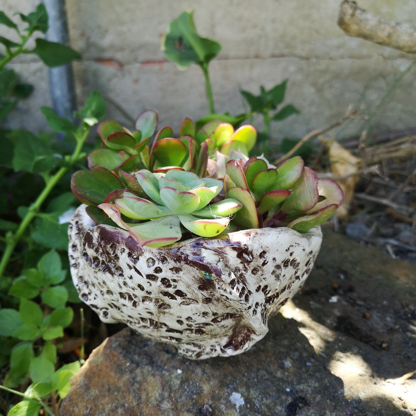 Handmade Ceramic Bowl With Organic Shape, Textured Succulent Planter Without Holes For Home Decor, Gift Idea for Women Who Have Everything - Ceramica Ana Rafael