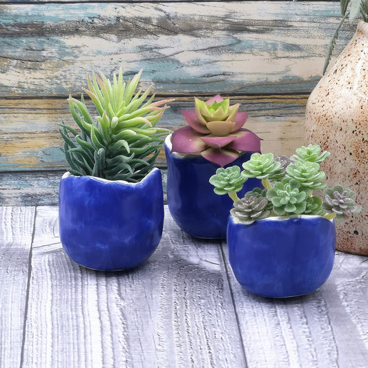 BLUE CERAMIC PLANTER, Clay Planter, Cactus Pot, Mothers Day Gift, Office Desk Accessories For Men, Housewarming Gift First Home - Ceramica Ana Rafael