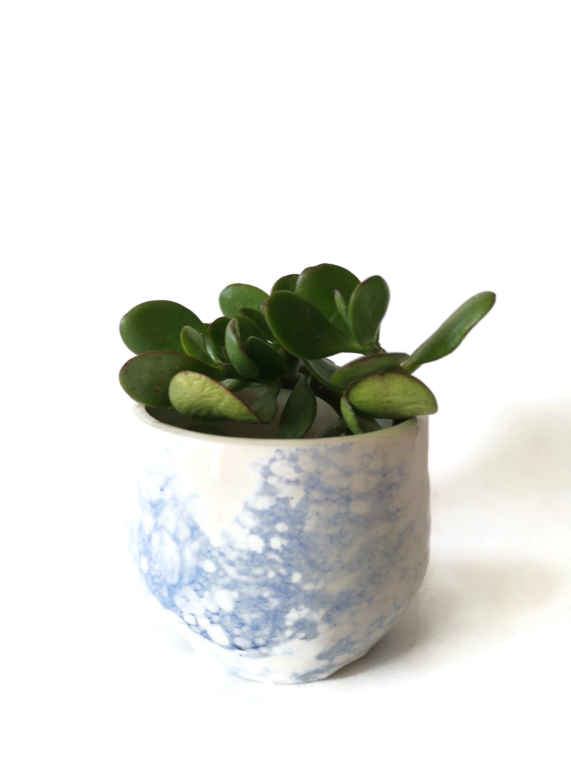 FLOWER VASE, MODERN Ceramic Vase For Flowers, Pottery Handmade Cactus Planter Cache Pot - Ceramica Ana Rafael