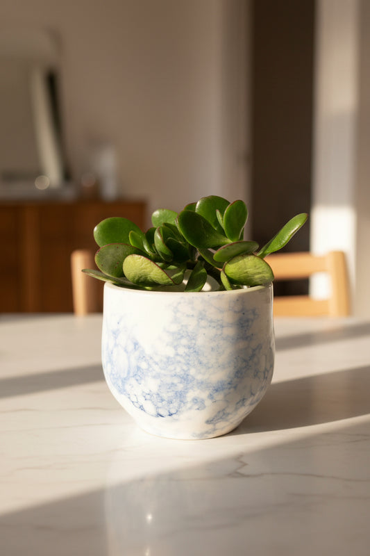FLOWER VASE, MODERN Ceramic Vase For Flowers, Pottery Handmade Cactus Planter Cache Pot - Ceramica Ana Rafael