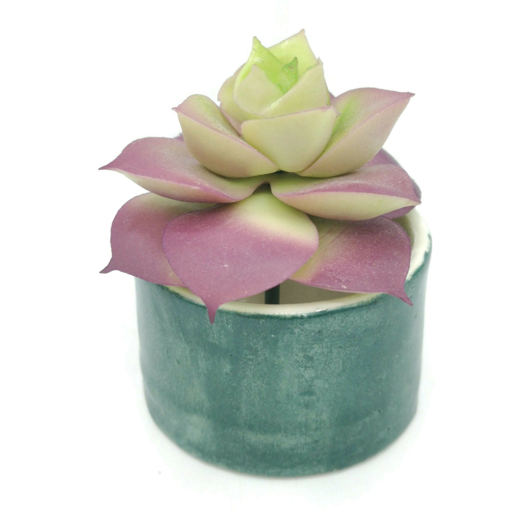 Handmade Ceramic Planter, Small Green Vase for Cactus or Succulents, Mom Birthday Gift From Daughter, Office Desk Accessories For Women - Ceramica Ana Rafael