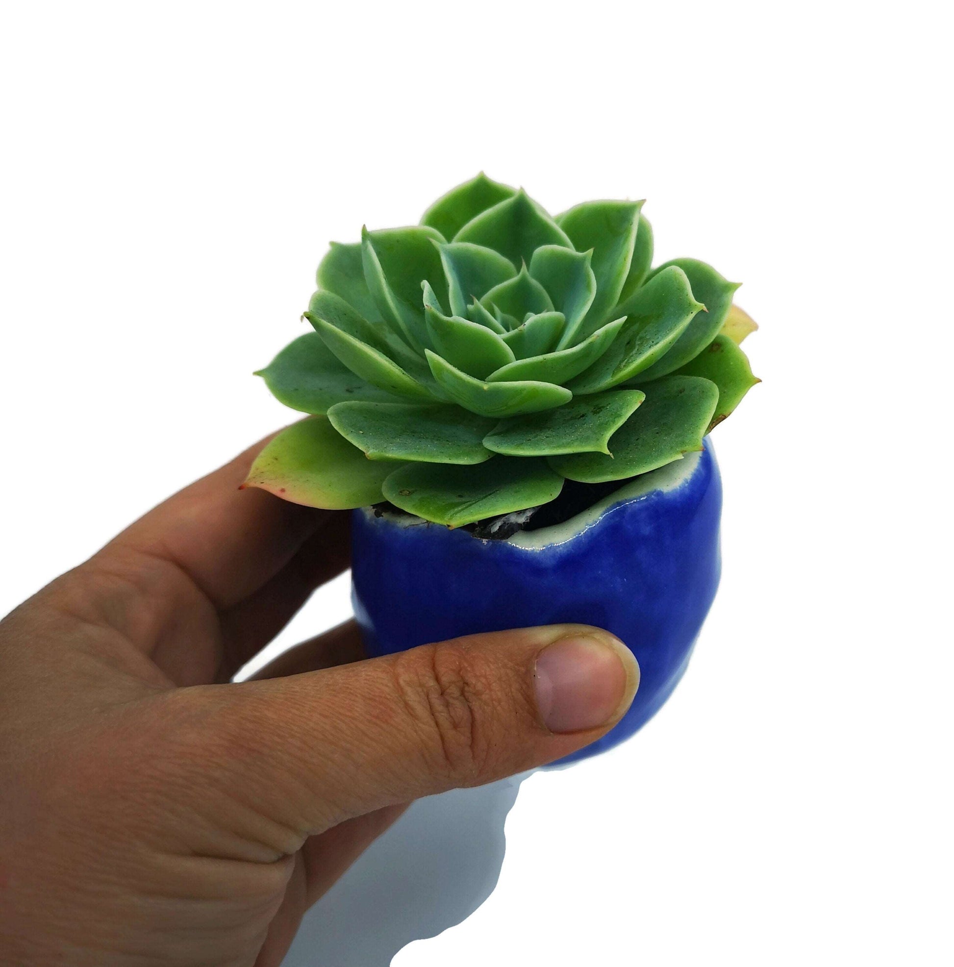 BLUE CERAMIC PLANTER, Clay Planter, Cactus Pot, Mothers Day Gift, Office Desk Accessories For Men, Housewarming Gift First Home - Ceramica Ana Rafael