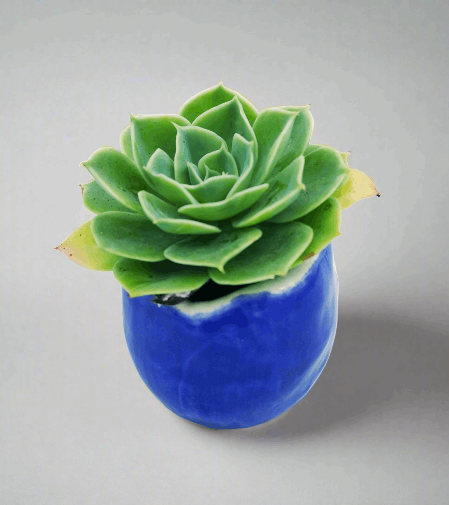 1Pc Royal Blue Handmade Ceramic Planter For Home Decor, Small Clay Cactus Pot, Office Desk Accessories For Men, Housewarming Gift First Home